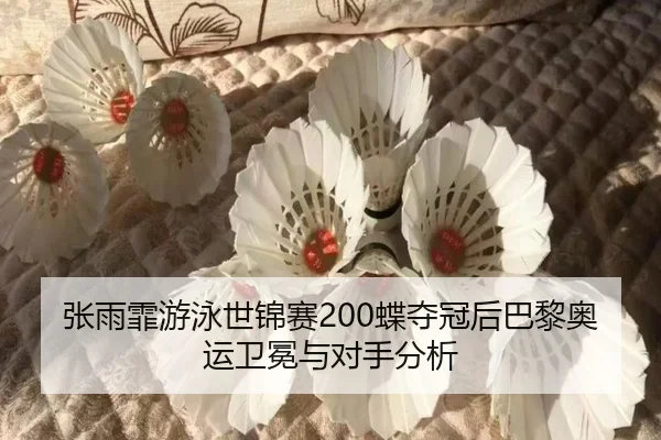 zhang-yu-fei-you-yong-shi-jin-sai-die-duo-guan-hou-ba-li-ao-yun-wei-mian-yu-dui-shou-fen-xi-2-918.jpg